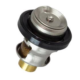 Aftermarket Evinrude Johnson Omc Brp Marine 5030742 Thermostat For Outboard 5031175 0769469