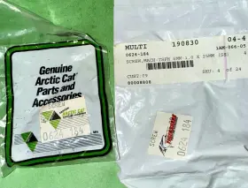0624-184 Arctic Cat Oem Ts Tsfh 6mm-1.0x25mm Ss Mach Screw Pack Of 9 New