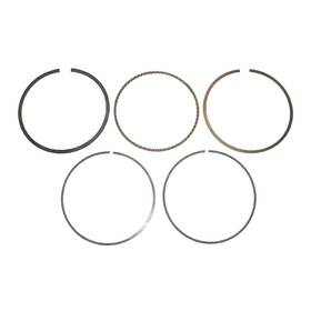 Componentsplus 51-311-pio New Standard Piston Rings Fits Polaris By 51-311 3087224