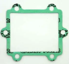 3005-432 Componentsplus 680175669877 New Reed Gasket Fits Daytona Tiger Shark Pwc 770 Monte Carlo 1996 1997