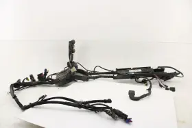 69201077 Harley Davidson 16-17 Softail Heritage Deluxe Main Wiring Harness Abs