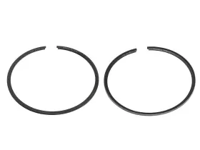 Nw-50000-2rtrips Namura Technologies Piston Rings For Polaris Fits 1996-1999 1050 Pwc .020 Over Bore 81.5mm