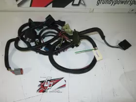 2461072 Polaris - 2002 Genesis I Wiring / Chassis Harness 2461072 Polaris - 2002 Genesis I Wiring / Chassis Harness