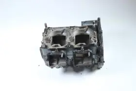 3008-176 Polaris 1995 Tigershark Montego Engine Motor Crankcase Crank Cases Block