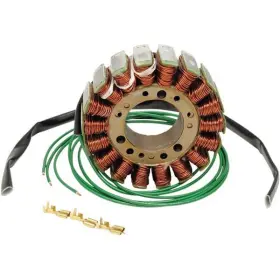 21-w101 Ricks Motorsport Electrics Stator -