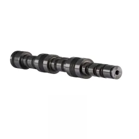 420837862 Sbt 46-118-30 Camshaft Compatible With 230 Gtr/gtx/rxt Wake Pro