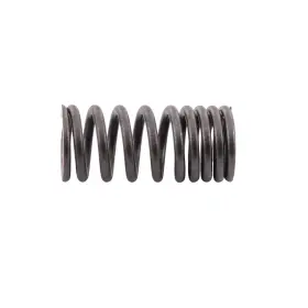 46-213-78 Sbt Inner Valve Spring - Kawasaki Ultra Lx 310lx Select Models