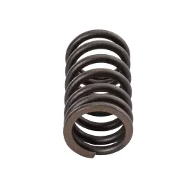 6s5-12113-00-00 Sbt 46-412-73 Valve Spring - Yamaha Fx Sho Fzr Fzs Select Models