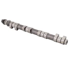14210-hw4-680 Sbt 46-600-30b Camshaft Compatible With Honda F12 R12 R12x Select Models
