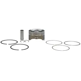 420892738 Sbt 47-116-0 Piston And Ring Kit For Sea-doo