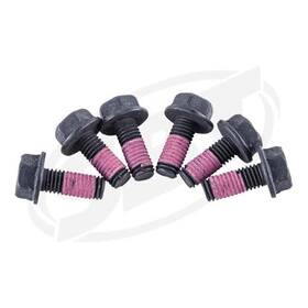 Sbt Fsx-06k Magneto Screw Kit - Sea-doo 295501043 Gti 130 Se 155 Select Models