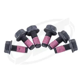 295501043 Sbt Fsx-06k Magneto Screw Kit - Sea-doo Gti 130 Se 155 Select Models