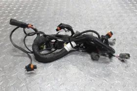 420666257 Sea-doo 2014-2019 Seadoo Electrical Engine Wiring Harness Freshwater Gti Gtr Spark Oem 2