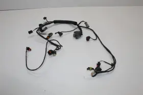 420864220 Sea-doo 2011 Gtx 260 Limited Oem Engine Wiring Harness