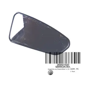269501920 Seadoo Oem Mirror-righthand