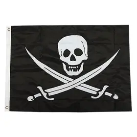 1814 Taylor Made - Novelty Design 12 Inch X 18 Calico Jack Flag