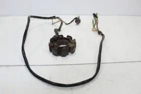 3008-244 Tigershark 1994 Barracuda Oem Stator Generator Alternator Magneto