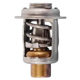 004-260 Wsm Thermostat - 60deg. Celsius