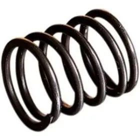 010-453 Wsm Shaft Spring