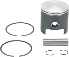 010-851-07k Wsm T/s 770 Piston Kit 1mm Over 328473