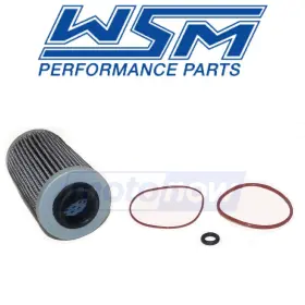 3sfn Wsm Mn/3sfn Oil Filter Kit For 2018-2019 Sea-doo Gtx 230 - Engine Filters Bi
