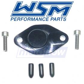 Wsm Mn/a0as Oil Injection Removal Kit For 1994-1995 Polaris Slt 750 - Engine Qu
