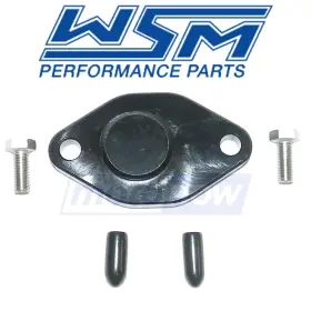 P3h3 Wsm Mn/p3h3 Oil Injection Removal Kit For 1989-1997 Sea-doo Sp - Engine Lines Rk