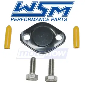 Yg9v Wsm Mn/yg9v Oil Injection Removal Kit For 1994 Wet Jet Duo 200 - Engine Lines Rq