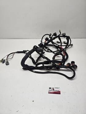 Yamaha 6ap-8259l-20-00 2013 Ar 242 Limited S Oem Engine Wiring Harness Complete 6ap-8259l-20
