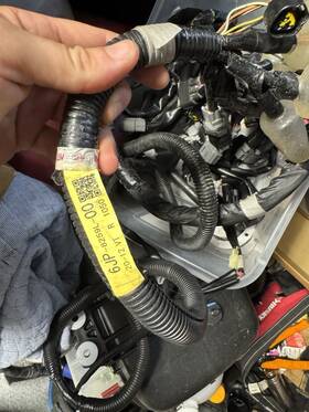 Yamaha 6jp-8259l-00 21 Gp1800r Ho Harness