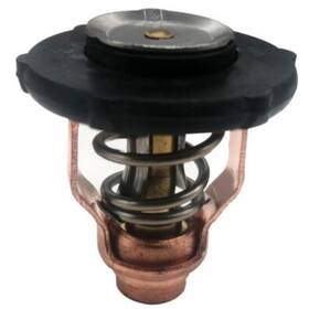 Yiheozux 6fp-12411-00 New 60 C Operating Temperature Thermostat Fits Yamaha By 775-240 6fp-12411-00-00