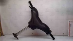 2004 Polaris Msx 150 Handlebar Assembly Used. Price: $124.99.