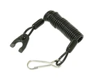 SP1 SM-01564C Replacement Key Tether Switch New. Price: $29.43.