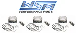 Pack Wsm Platinum Piston Kit Std Bore 99.96MM 03-06 Seadoo Gtx 1503 4TEC 185HP New. Price: $387.55.