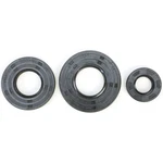 622201 Vertex Crankshaft Oil Seal Set New. Price: $24.59.