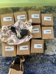 1-SEA-DOO Oem Anti-theft Linq Ignition Lock Assembly With Keys Part 520002756 New. Price: $5.50.