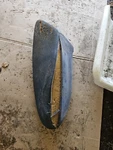 2001 Sea-doo Challenger 1800 Rear Drivers Side Left Armrest Pad Cushion Used. Price: $70.00.
