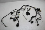 2001-2005 Yamaha FZ1 FZS1000 Main Engine Wiring Harness Motor Wire Loom Used. Price: $50.00.