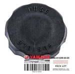 6M6-8132W-00-00 Cap New. Price: $18.99.