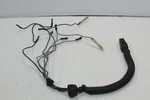 Polaris 99-01 Genesis 2001 Virage Oem Main Engine Wiring 2460796 Used. Price: $31.14.