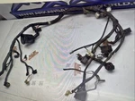 2318 Main Wiring Harness 2001 Yamaha FZ1 FZS1000 Fazer Free Ship Used. Price: $83.00.