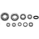 Engine Case Bearings And Gaskets For Kawasaki KLX300R Ninja Z250SL New. Price: $48.99.