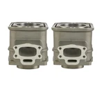 New Bare Sbt Cylinder Set Sea-doo 717/720 421000056, 420923806, 290923236,.... Price: $589.99.