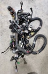 2009 Yamaha Fx Sho Main Harness Wiring 6S5-8259L-01-00 Used. Price: $600.00.