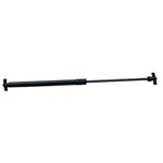 Aftermarket Sea Doo Front Hood Shock Tube, Gas Strut Gtx, Rxt, Wake, Pro 18 New. Price: $72.46.