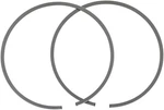Wsm Piston Ring Set 010-925-06 New. Price: $23.97.