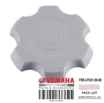 F0R-U7831-00-00 Cap Fuel Filler New. Price: $31.99.