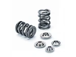 Supertech SPRK-EC3025D-SE Seedoo 4TEC Dual Valve Spring Kit New. Price: $368.99.