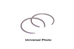Wiseco CW18 18MM Circlip For Powersports Pistons New. Price: $24.99.