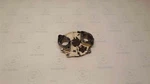 Sea-doo 787 Carbureted Oem Rotary Valve Cover 290810738 Used. Price: $34.95.